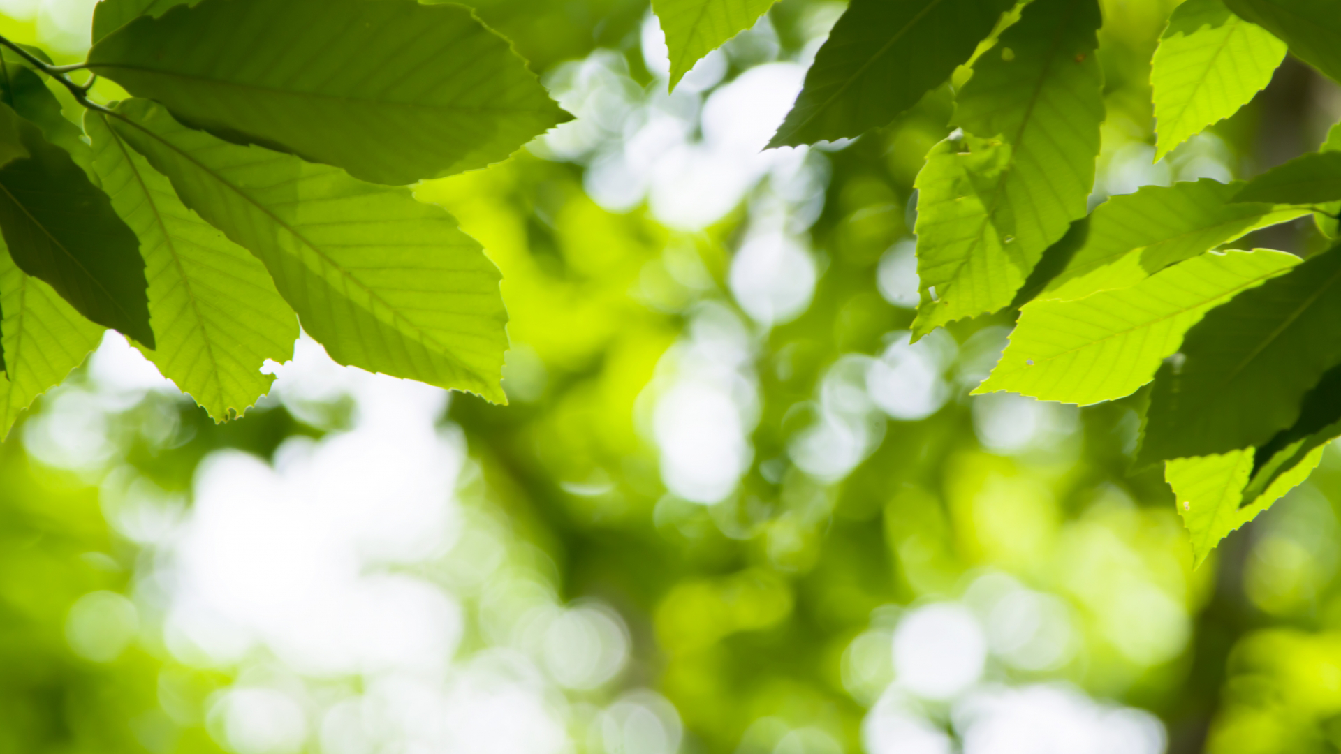 株式会社クレーヴの個人情報保護方針